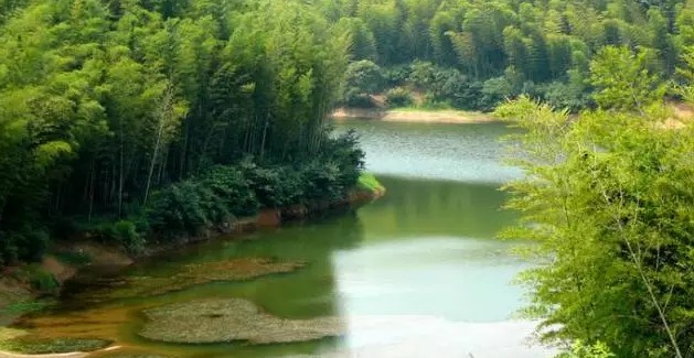 帐篷客,歌遥,歌璞落户濮塘度假公园 马鞍山璞景公司揭成立